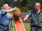 Hund, Halter und Trainer auf einem Gerät